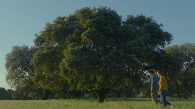 Servicios Eduard Granell Filmmaker